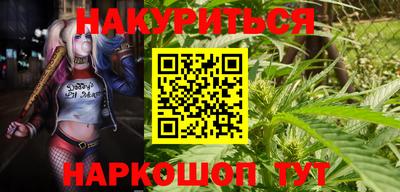 хмурый Шелехов