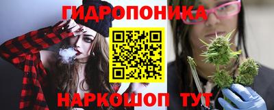 хмурый Шелехов