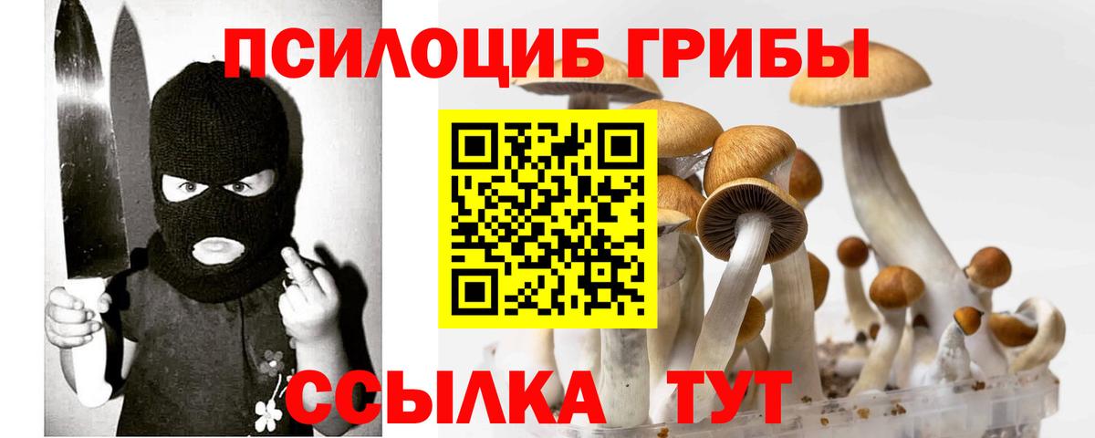 Ревда  Галлюциногенные грибы мухоморы  Вход с VPN  Псилоцибиновые грибы Psilocybine cubensis 